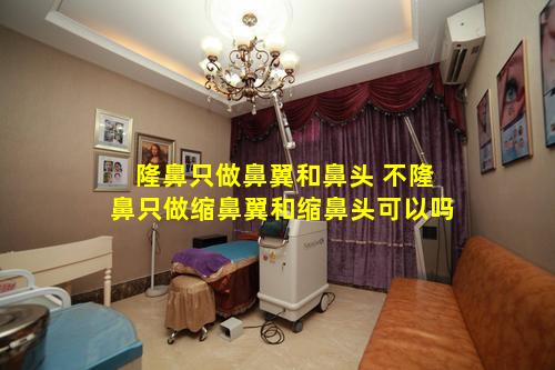 隆鼻只做鼻翼和鼻头 不隆鼻只做缩鼻翼和缩鼻头可以吗